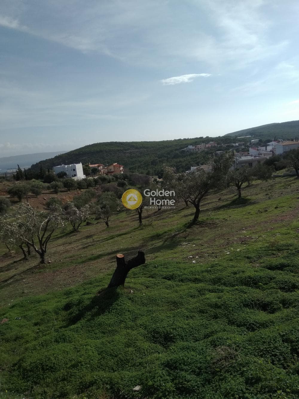 Οικόπεδο στην Καμάριζα, Λαύριο — Φωτογραφία 2 από 2