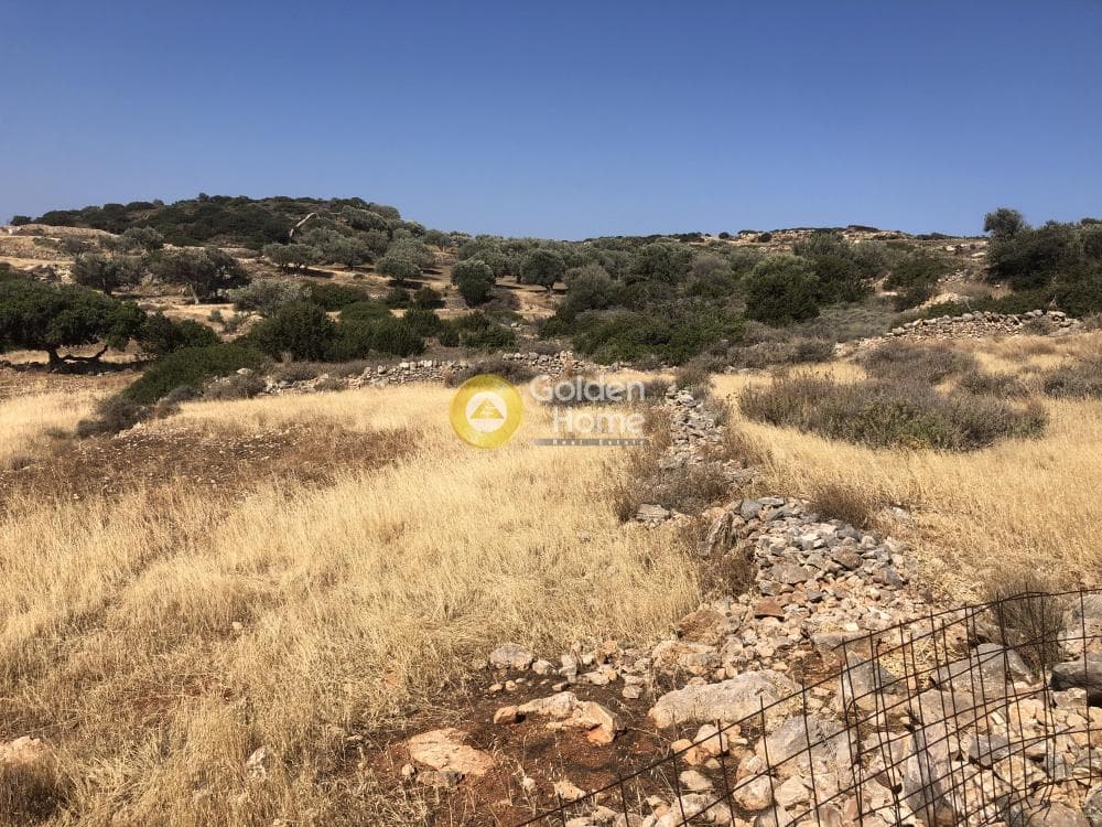 Parcel in Kamari, Paros — Photo 7 of 12