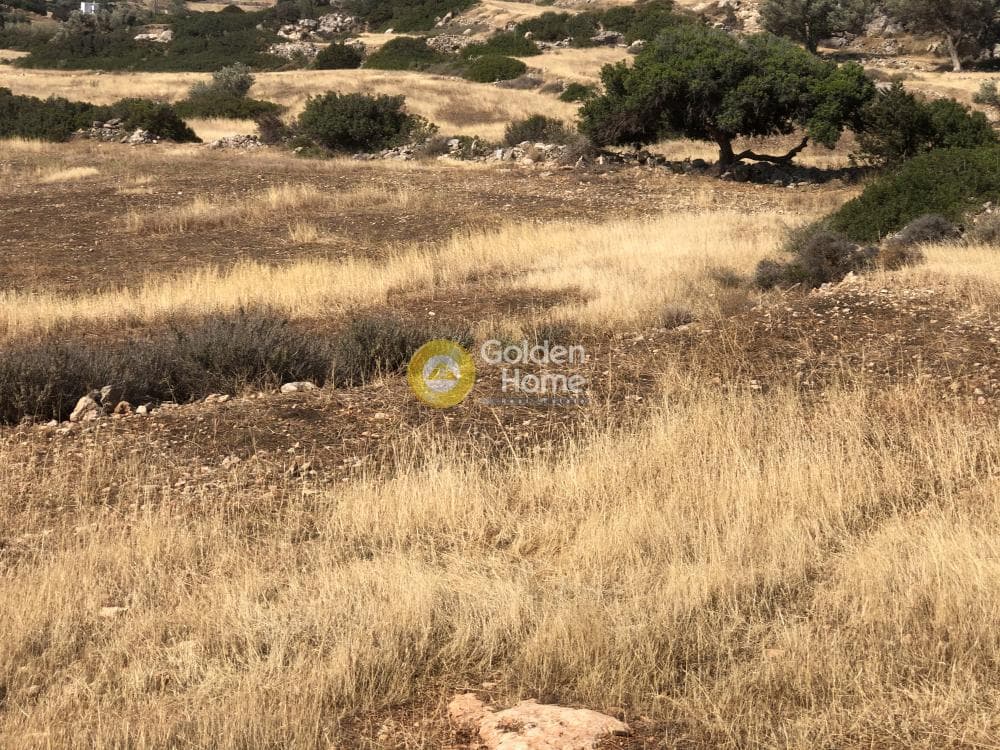 Parcel in Kamari, Paros — Photo 12 of 12