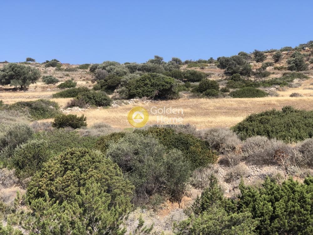 Parcel in Kamari, Paros — Photo 10 of 12