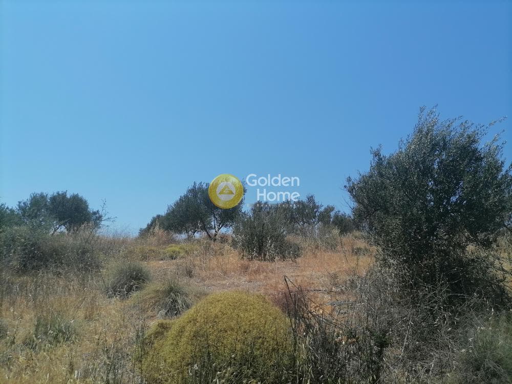 Building Plot in Kamilari, Timpaki — Photo 7 of 27