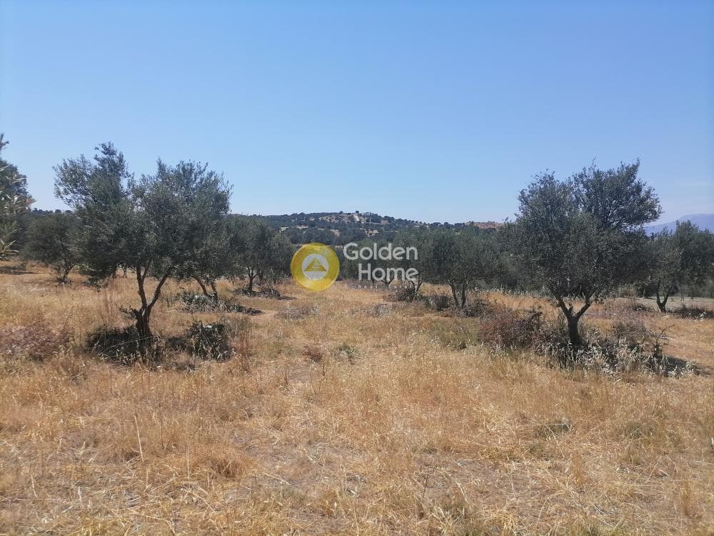 Building Plot in Kamilari, Timpaki — Photo 8 of 27