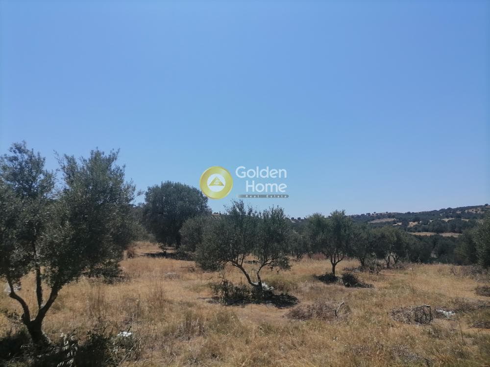 Building Plot in Kamilari, Timpaki — Photo 10 of 27