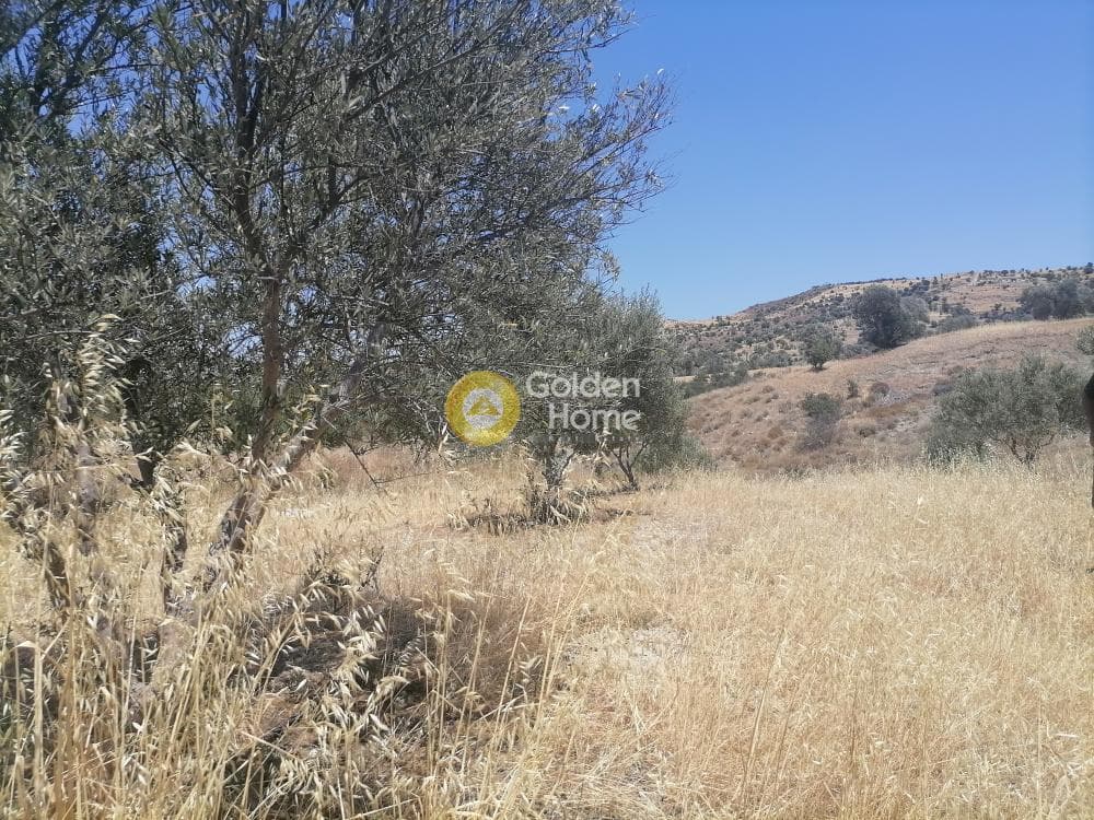 Building Plot in Kamilari, Timpaki — Photo 11 of 27