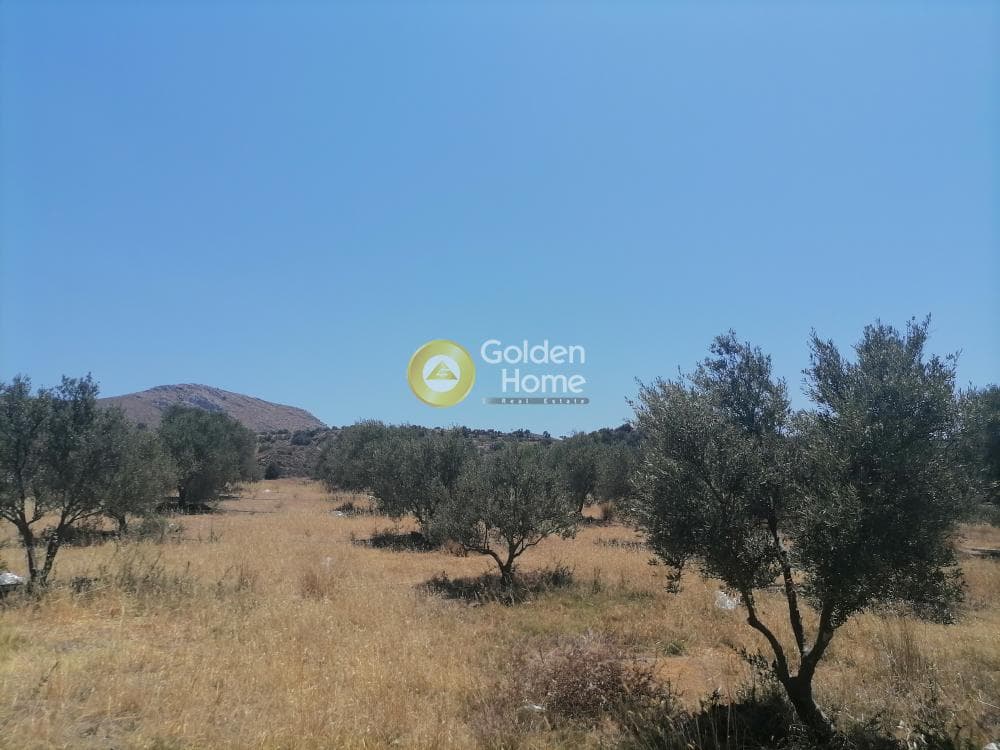 Building Plot in Kamilari, Timpaki — Photo 12 of 27