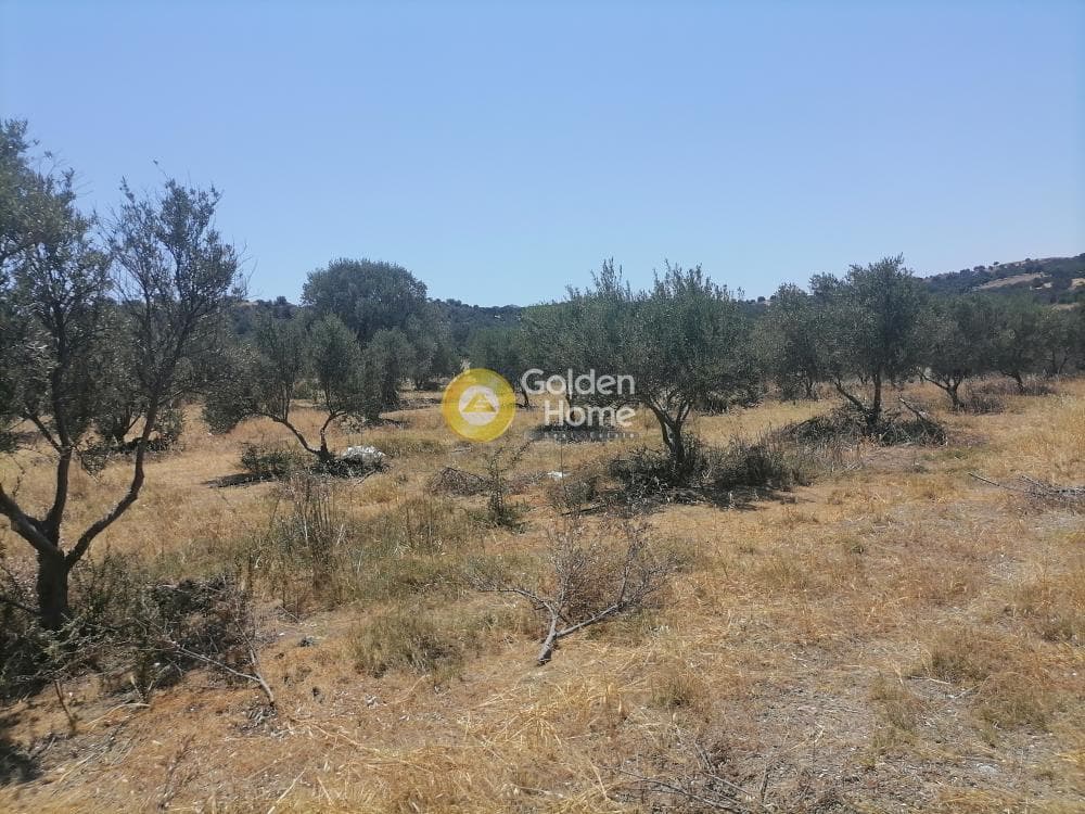 Building Plot in Kamilari, Timpaki — Photo 14 of 27