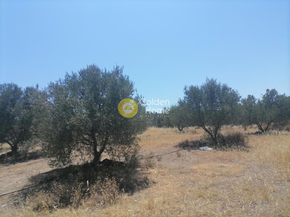 Building Plot in Kamilari, Timpaki — Photo 15 of 27