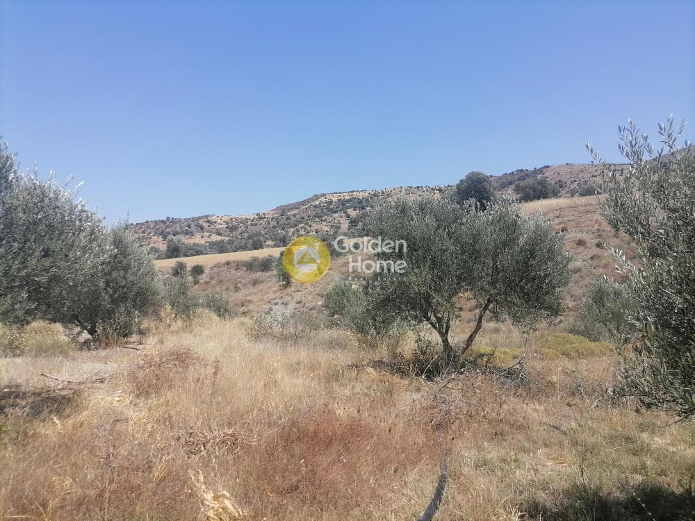 Building Plot in Kamilari, Timpaki — Photo 23 of 27