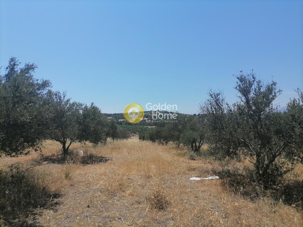 Building Plot in Kamilari, Timpaki — Photo 24 of 27