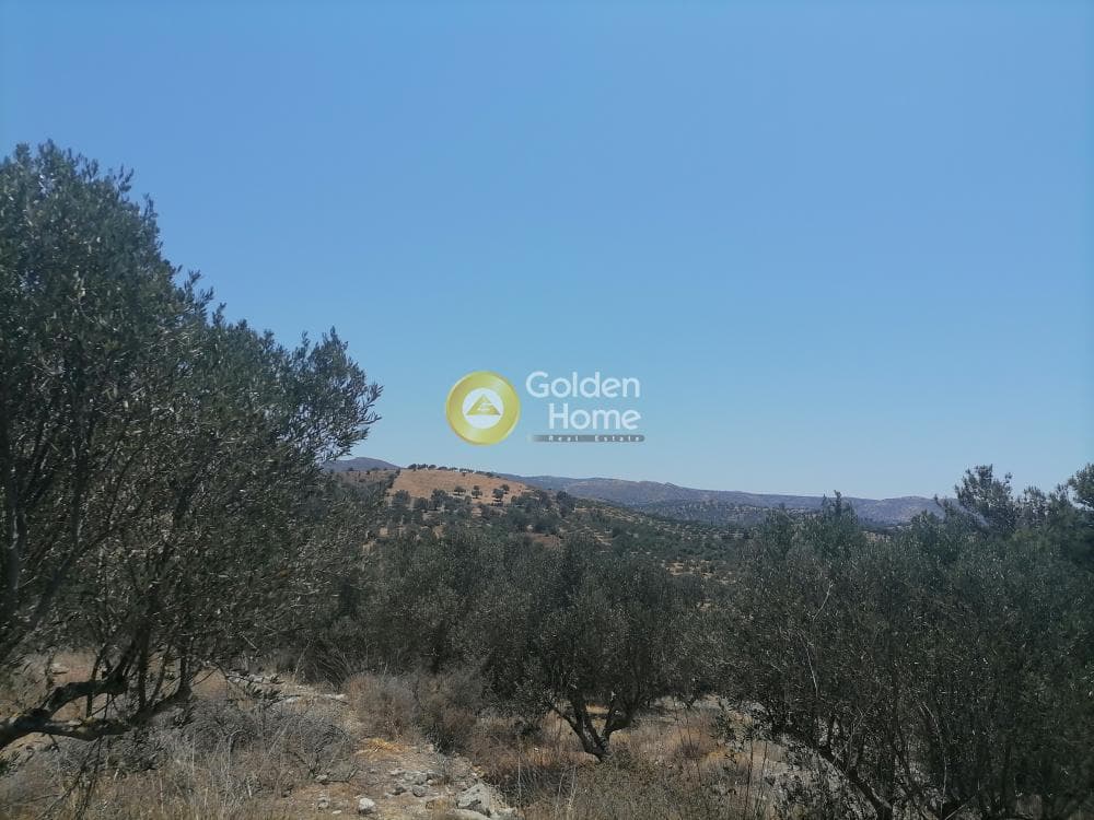 Building Plot in Kamilari, Timpaki — Photo 12 of 26