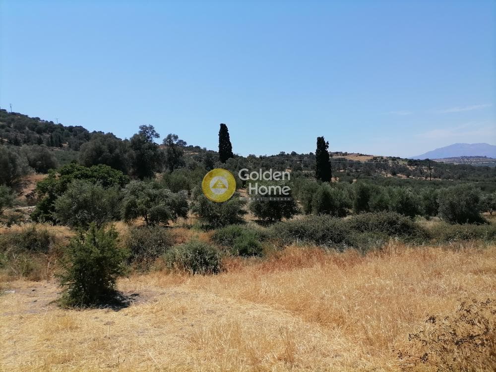 Οικόπεδο στην Κουσές, Μοίρες — Φωτογραφία 14 από 16