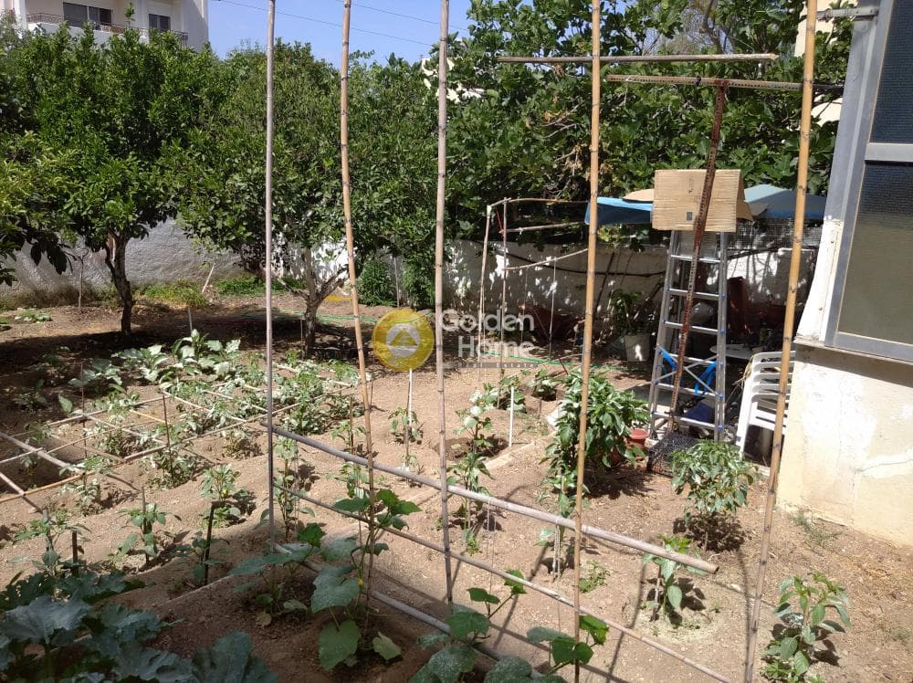 Οικόπεδο στην Τρία αστέρια, Ηράκλειο — Φωτογραφία 12 από 23