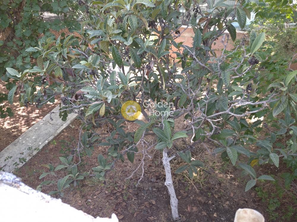 Οικόπεδο στην Τρία αστέρια, Ηράκλειο — Φωτογραφία 23 από 23