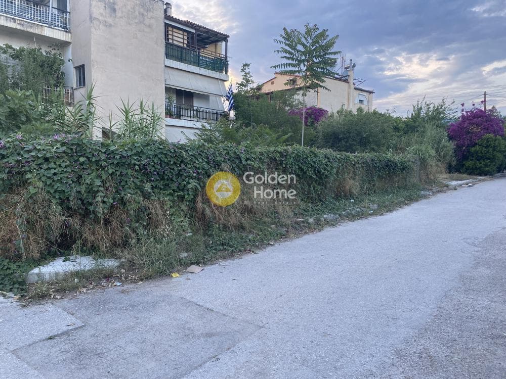 Building Plot in Pirgouthi, Acharnes — Photo 4 of 5