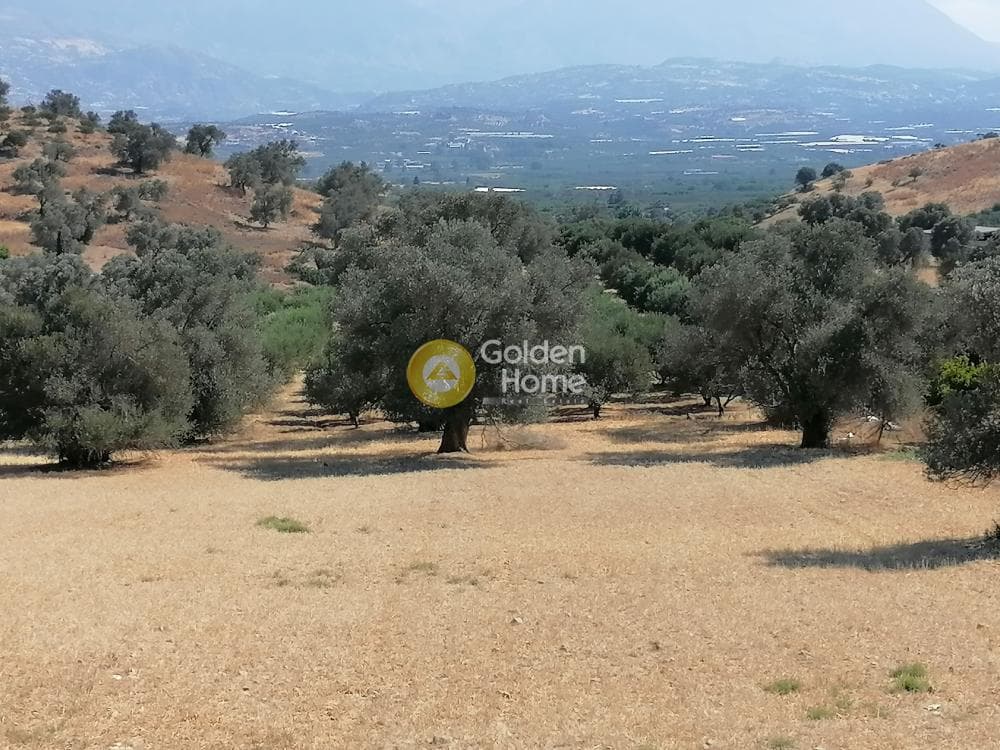 Οικόπεδο στην Κουσές, Μοίρες — Φωτογραφία 15 από 22