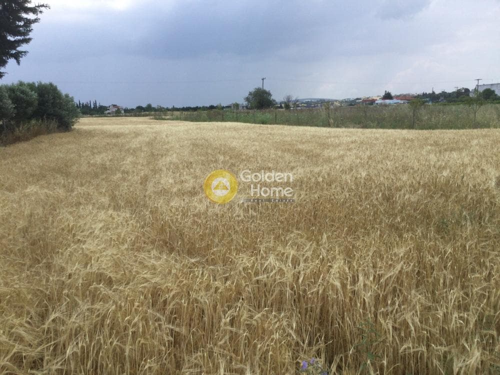 Αγροτεμάχιο στην Νέο Ρύσιο, Μίκρα — Φωτογραφία 1 από 3
