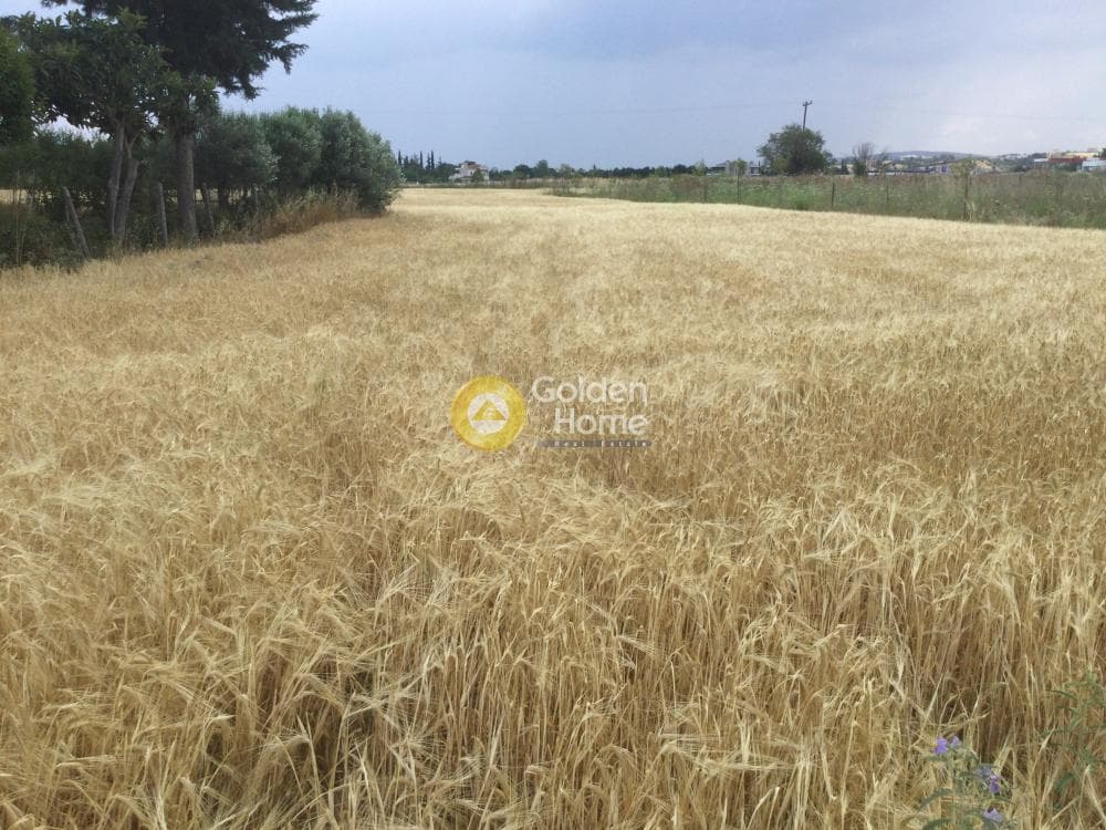 Αγροτεμάχιο στην Νέο Ρύσιο, Μίκρα — Φωτογραφία 3 από 3
