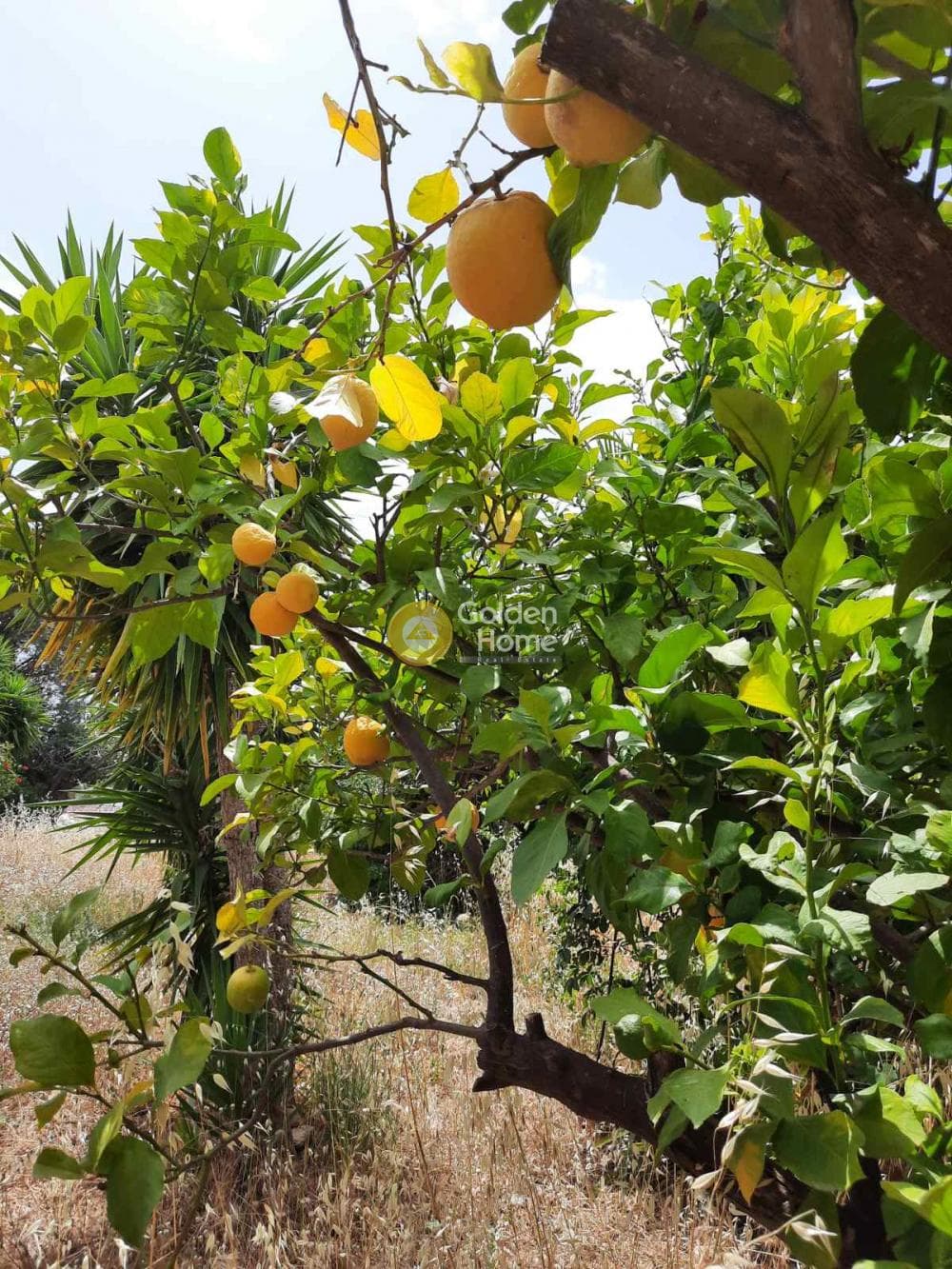 Οικόπεδο στην Κέντρο, Παλαιά Φώκαια — Φωτογραφία 2 από 17