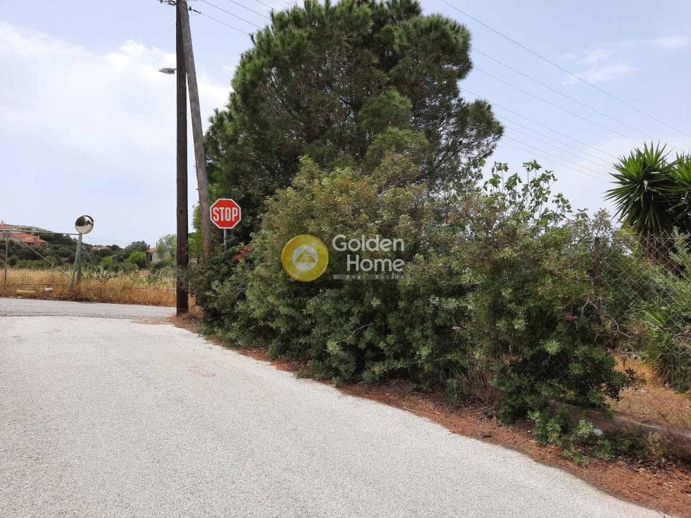 Οικόπεδο στην Κέντρο, Παλαιά Φώκαια — Φωτογραφία 7 από 17