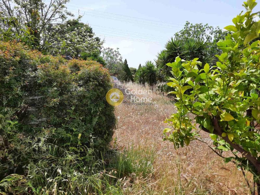 Οικόπεδο στην Κέντρο, Παλαιά Φώκαια — Φωτογραφία 14 από 17