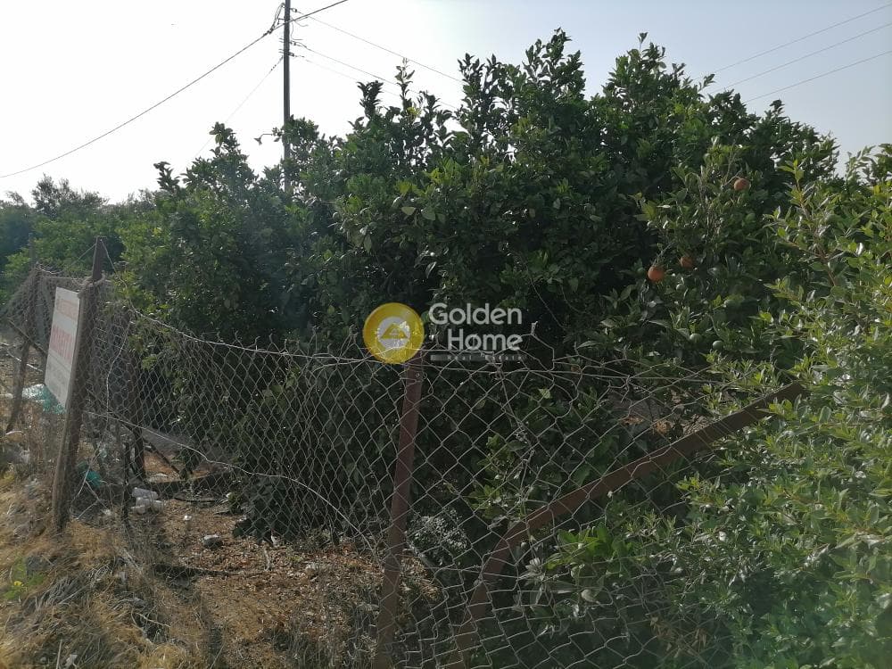 Building Plot in Monochoro, Moires — Photo 6 of 7