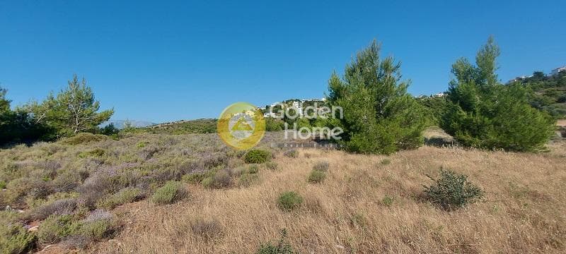 Parcel in Oikismos Vgena, Rafina — Photo 3 of 18