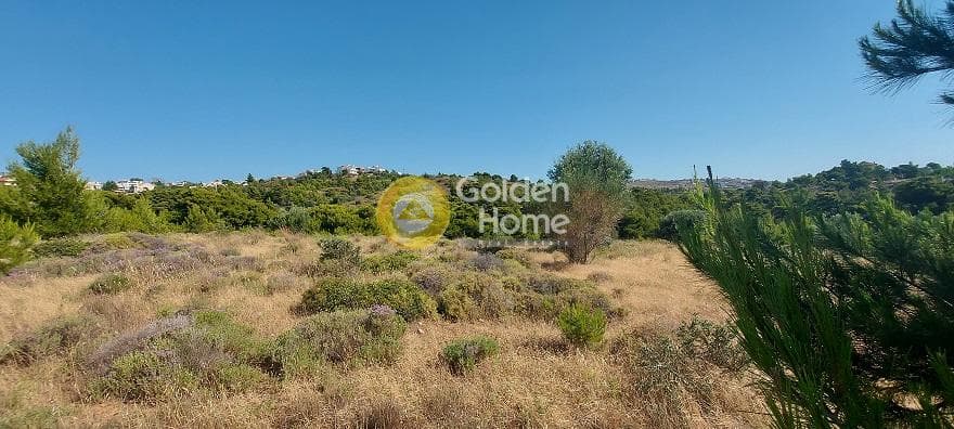Parcel in Oikismos Vgena, Rafina — Photo 6 of 18