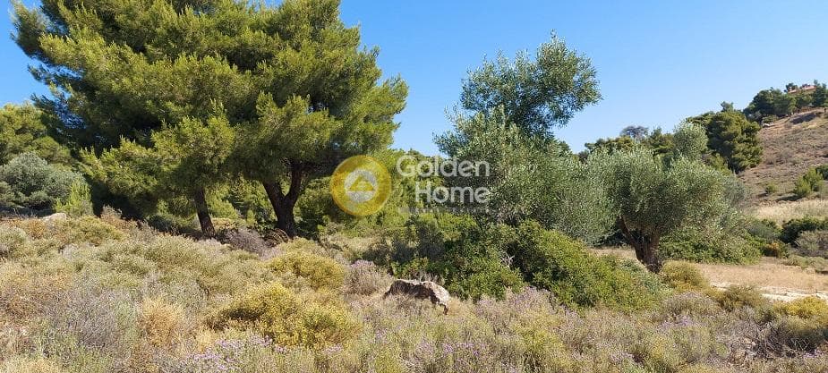 Parcel in Oikismos Vgena, Rafina — Photo 18 of 18