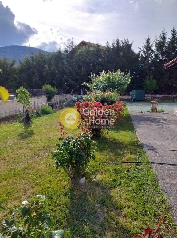 House in Kalivia, Arachova — Photo 5 of 17