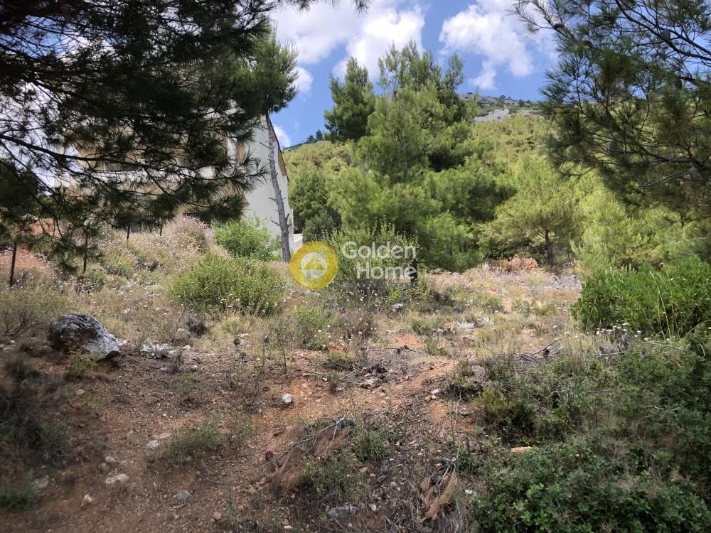 Οικόπεδο στην Μεγάλα Σχοινία Α, Αχαρνές — Φωτογραφία 5 από 5