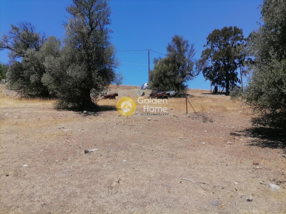 Building Plot in Kouses, Moires — Photo 13 of 21