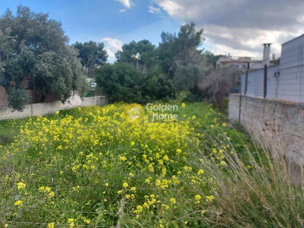 Οικόπεδο στην Άγιος Σεραφείμ, Αρτέμιδα (Λούτσα) — Φωτογραφία 1 από 2