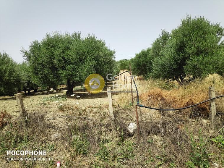 Αγροτεμάχιο στην Άγιος Μύρωνας, Τετραχώρι — Φωτογραφία 2 από 30