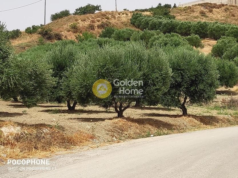 Αγροτεμάχιο στην Άγιος Μύρωνας, Τετραχώρι — Φωτογραφία 4 από 30