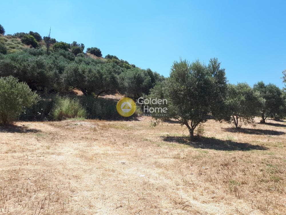Building Plot in Patsides, Archanes — Photo 3 of 8
