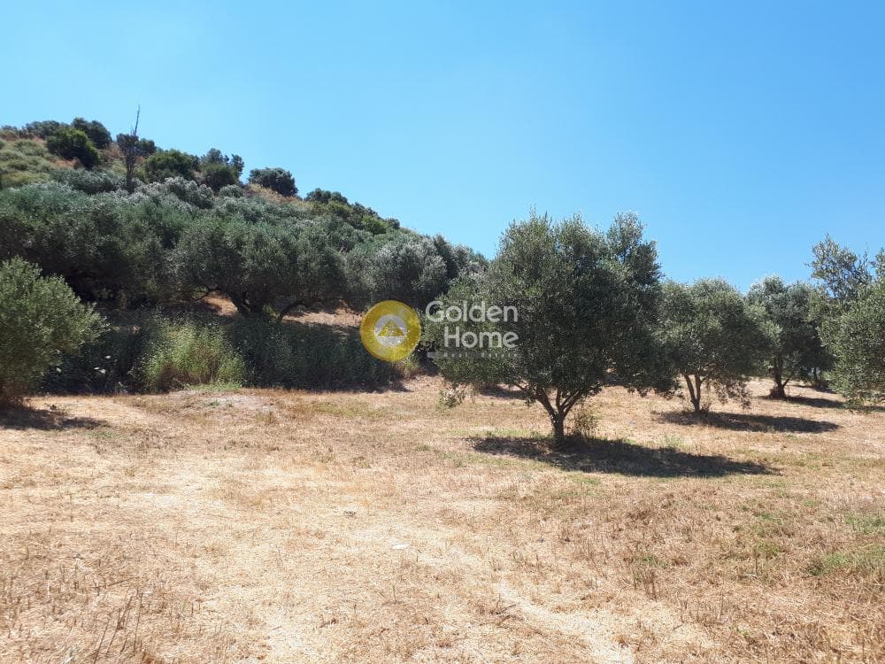 Building Plot in Patsides, Archanes — Photo 4 of 8