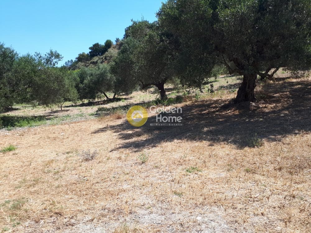 Building Plot in Patsides, Archanes — Photo 7 of 8
