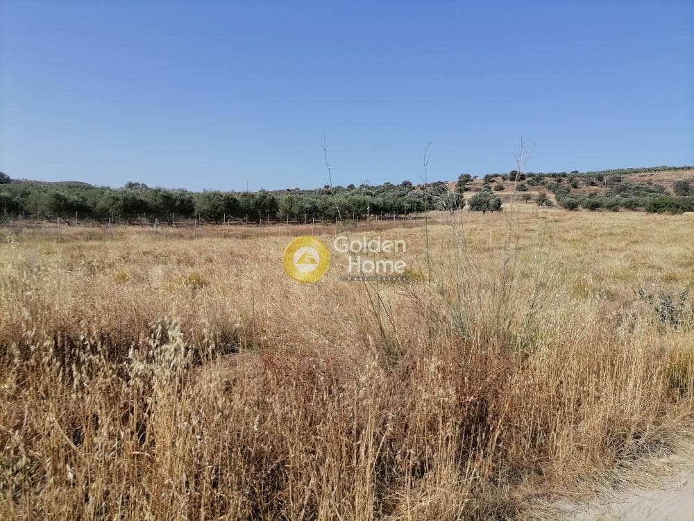 Οικόπεδο στην Καμηλάρι, Τυμπάκι — Φωτογραφία 2 από 21