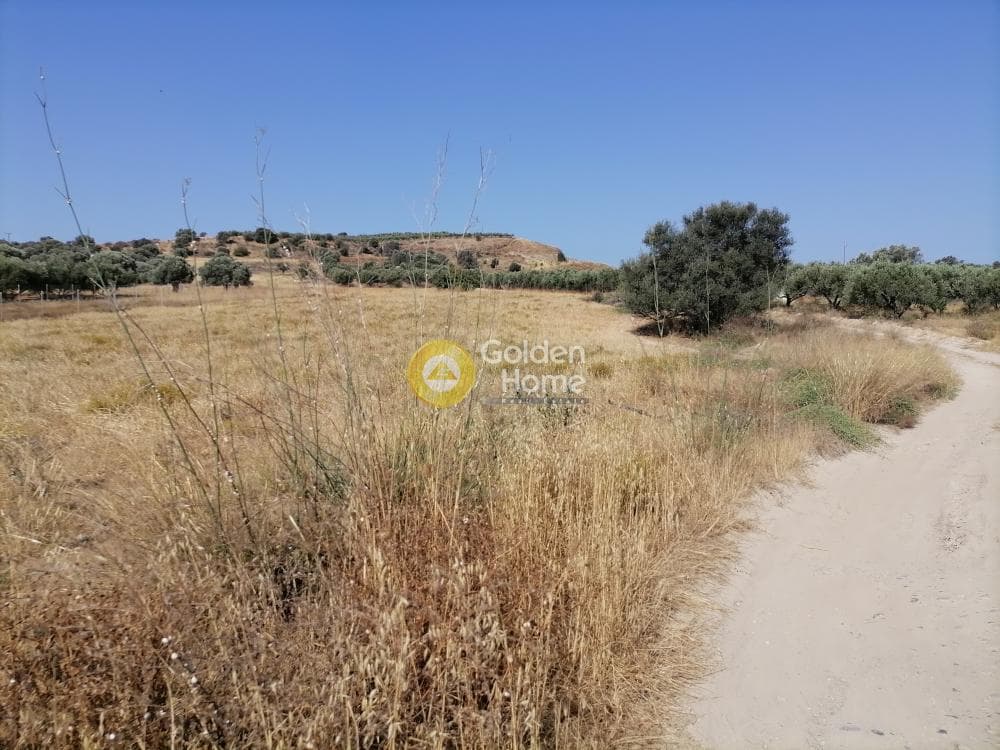 Οικόπεδο στην Καμηλάρι, Τυμπάκι — Φωτογραφία 3 από 21