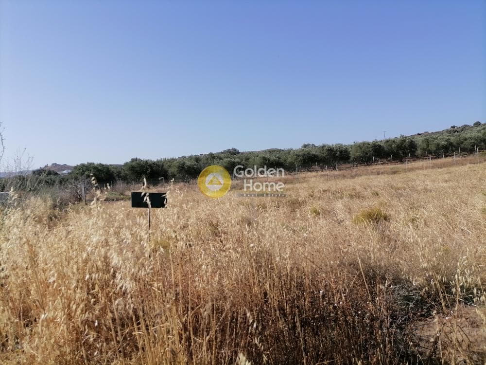 Οικόπεδο στην Καμηλάρι, Τυμπάκι — Φωτογραφία 4 από 21