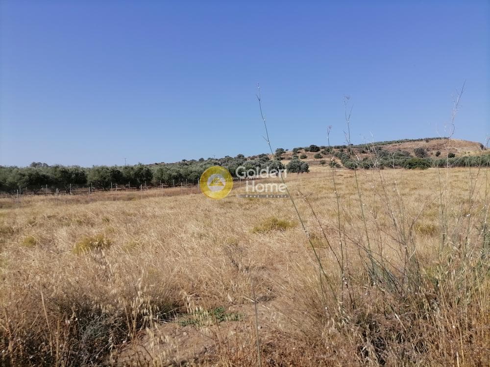 Οικόπεδο στην Καμηλάρι, Τυμπάκι — Φωτογραφία 5 από 21