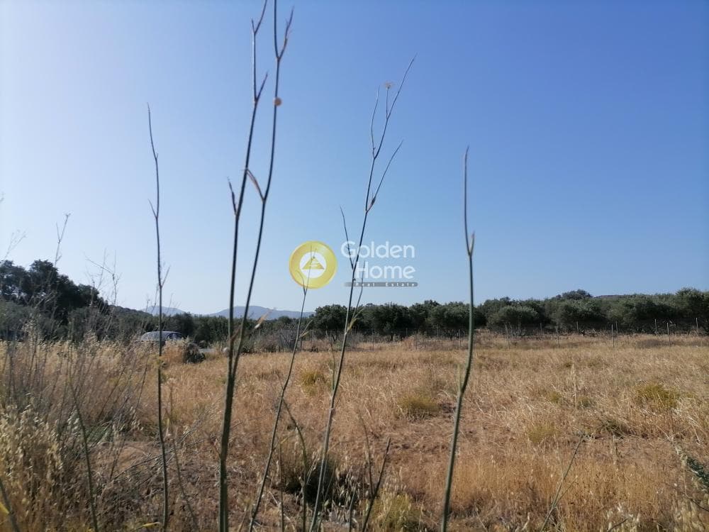 Οικόπεδο στην Καμηλάρι, Τυμπάκι — Φωτογραφία 7 από 21