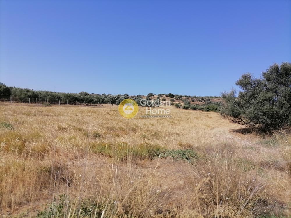 Οικόπεδο στην Καμηλάρι, Τυμπάκι — Φωτογραφία 9 από 21