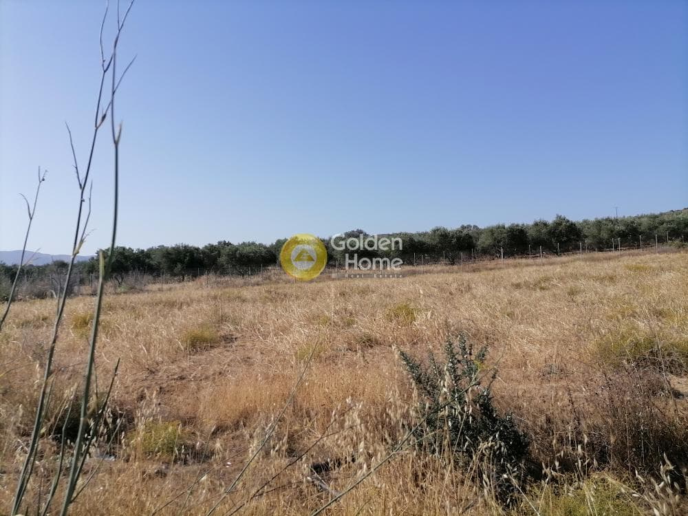 Οικόπεδο στην Καμηλάρι, Τυμπάκι — Φωτογραφία 10 από 21
