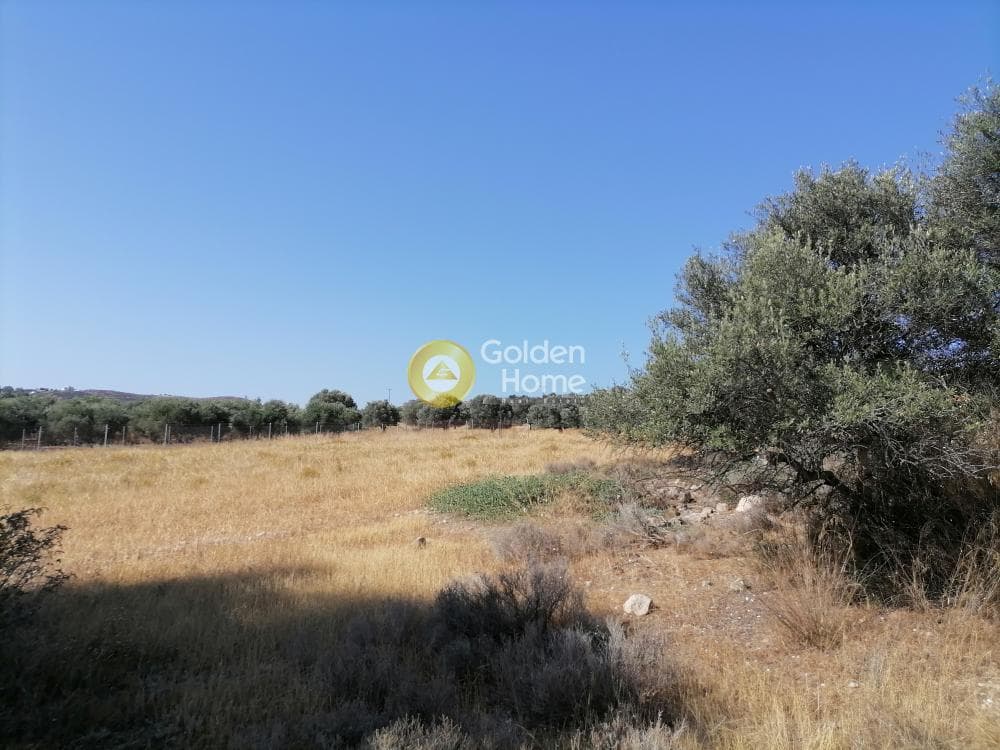 Οικόπεδο στην Καμηλάρι, Τυμπάκι — Φωτογραφία 12 από 21