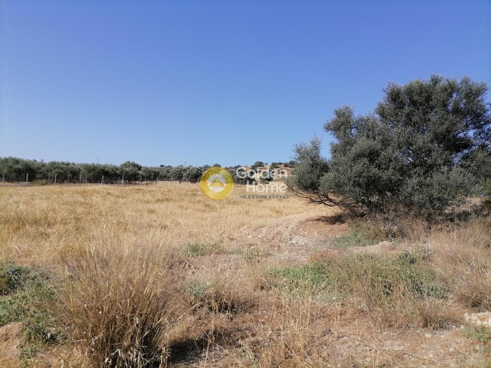Οικόπεδο στην Καμηλάρι, Τυμπάκι — Φωτογραφία 13 από 21