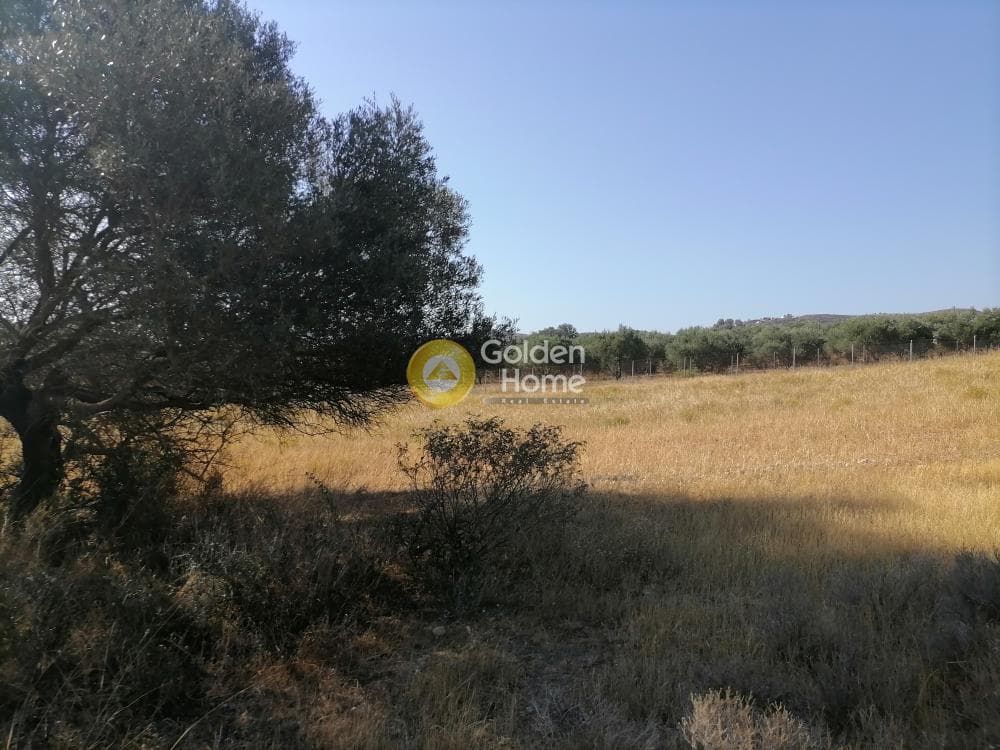 Οικόπεδο στην Καμηλάρι, Τυμπάκι — Φωτογραφία 14 από 21