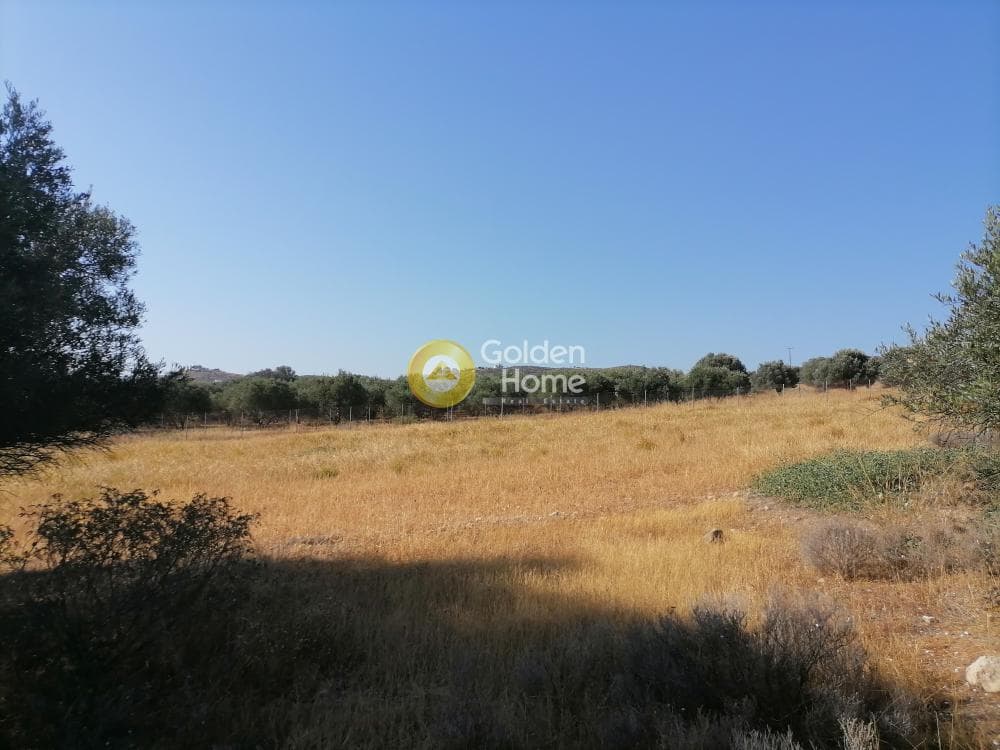 Οικόπεδο στην Καμηλάρι, Τυμπάκι — Φωτογραφία 15 από 21
