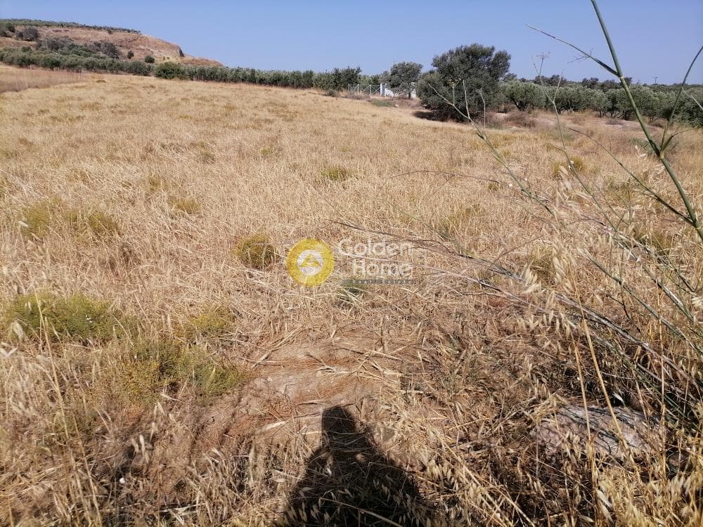 Οικόπεδο στην Καμηλάρι, Τυμπάκι — Φωτογραφία 18 από 21