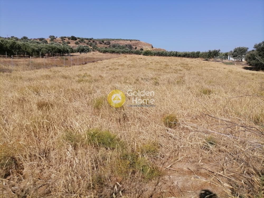 Οικόπεδο στην Καμηλάρι, Τυμπάκι — Φωτογραφία 20 από 21